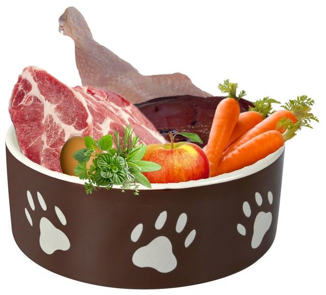 ernährungsberatung für hunde